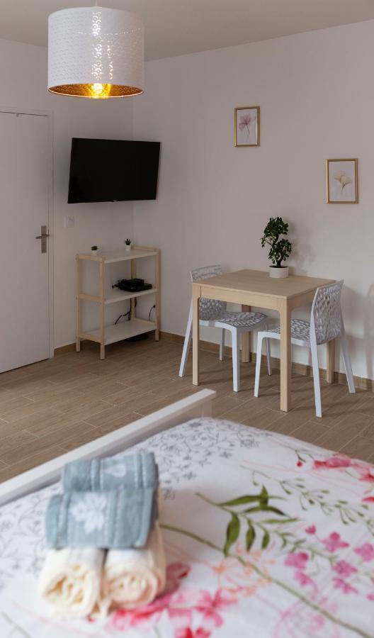 Loc Trotteur Le Pivoine Studio Grand Confort, Gare Sncf De Lourdes Bagian luar foto
