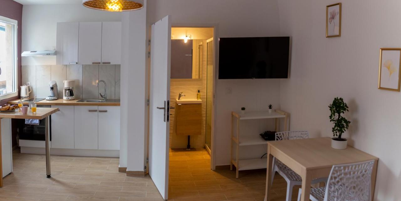 Loc Trotteur Le Pivoine Studio Grand Confort, Gare Sncf De Lourdes Bagian luar foto